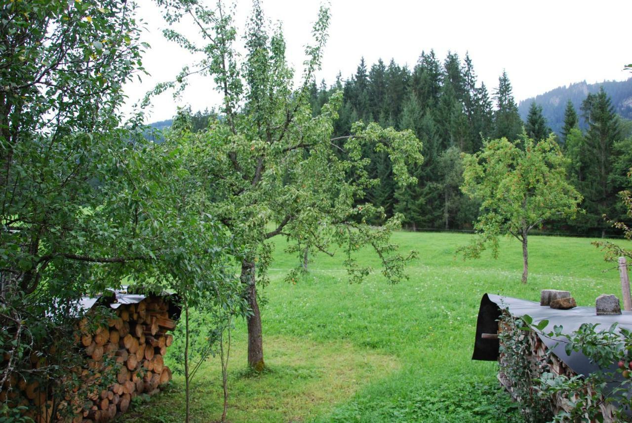 Hofstelle Auer Apartment Gosau Exterior photo