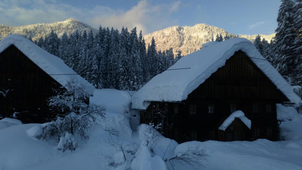 Hofstelle Auer Apartment Gosau Exterior photo